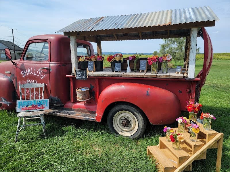 Shallow Pond Farms / Floured Grounds Coffee Shop