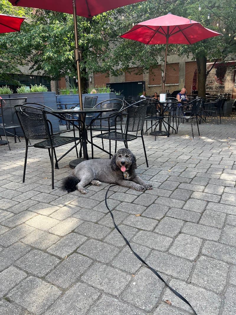 The Spoke & Bird (South Loop)