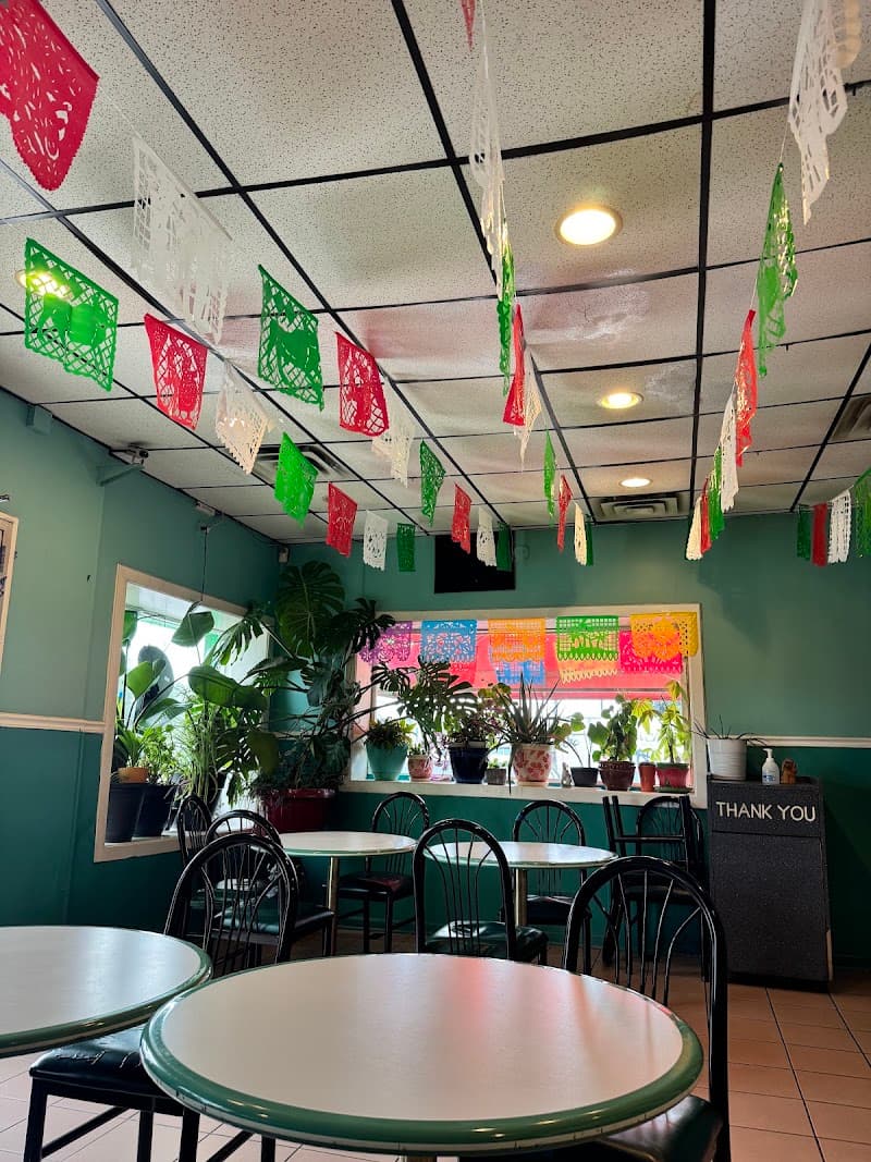 Temax garden café