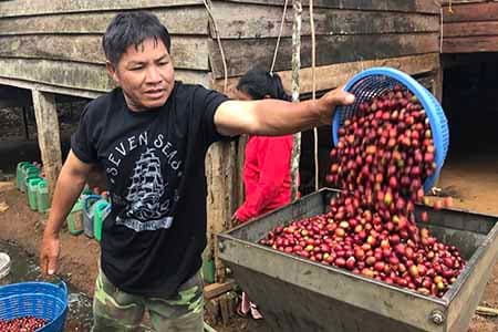 Seven Seas Roasting Co. Aliso Viejo